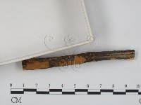 登錄號:F0002544藏品圖，第3張