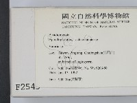 登錄號:F0002545藏品圖，第2張