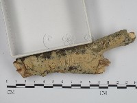 登錄號:F0002545藏品圖，第3張