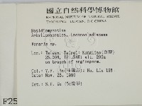 登錄號:F0002546藏品圖，第2張