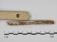 登錄號:F0002546藏品圖，第3張