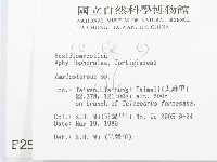 登錄號:F0002547藏品圖，第2張