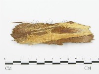 登錄號:F0002547藏品圖，第3張