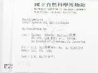 登錄號:F0002548藏品圖，第2張