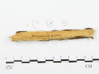 登錄號:F0002548藏品圖，第3張