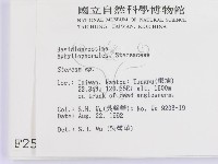 韌革菌屬藏品圖，第2張