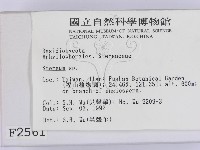 韌革菌屬藏品圖，第2張
