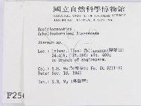 韌革菌屬藏品圖，第2張