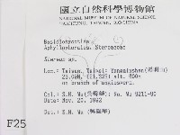 韌革菌屬藏品圖，第2張