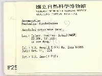 登錄號:F0002570藏品圖，第2張