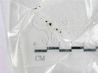 登錄號:F0002570藏品圖，第1張