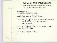 登錄號:F0002573藏品圖，第2張