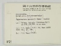 登錄號:F0002574藏品圖，第2張