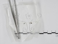 登錄號:F0002574藏品圖，第1張