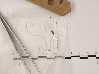 登錄號:F0002577藏品圖，第1張