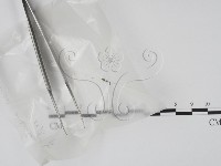 登錄號:F0002579藏品圖，第1張