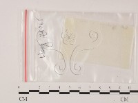 登錄號:F0002580藏品圖，第1張