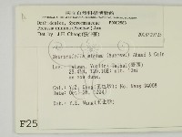 登錄號:F0002583藏品圖，第2張