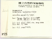 登錄號:F0002584藏品圖，第2張