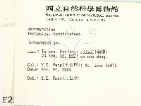 登錄號:F0002586藏品圖，第2張