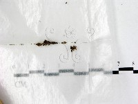 登錄號:F0002587藏品圖，第1張