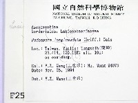 登錄號:F0002589藏品圖，第2張