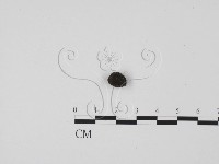 登錄號:F0002590藏品圖，第3張