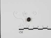 登錄號:F0002590藏品圖，第1張