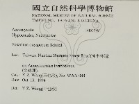 登錄號:F0002591藏品圖，第2張