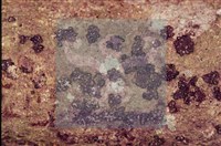 登錄號:F0002592藏品圖，第3張