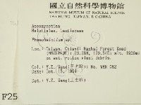 登錄號:F0002593藏品圖，第2張