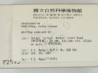登錄號:F0002595藏品圖，第2張