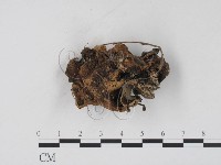 登錄號:F0002595藏品圖，第3張