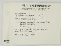 登錄號:F0002597藏品圖，第2張