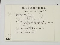 登錄號:F0002598藏品圖，第2張