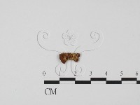 登錄號:F0002598藏品圖，第4張