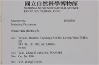 登錄號:F0002598藏品圖，第5張