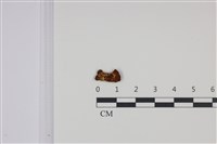 登錄號:F0002598藏品圖，第1張