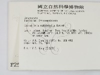 登錄號:F0002599藏品圖，第2張