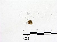 登錄號:F0002601藏品圖，第3張