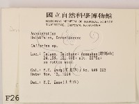 登錄號:F0002603藏品圖，第2張