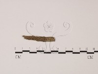 登錄號:F0002603藏品圖，第1張