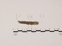 登錄號:F0002603藏品圖，第3張