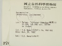 登錄號:F0002604藏品圖，第2張