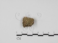 登錄號:F0002604藏品圖，第1張