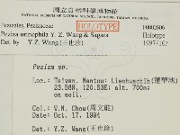 登錄號:F0002606藏品圖，第2張