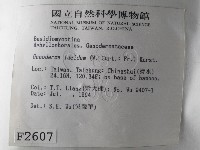 登錄號:F0002607藏品圖，第2張