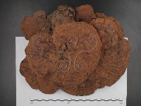 登錄號:F0002607藏品圖，第1張