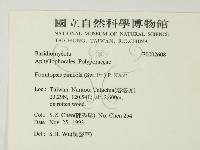 松生擬層孔菌藏品圖，第2張