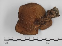 登錄號:F0002611藏品圖，第3張